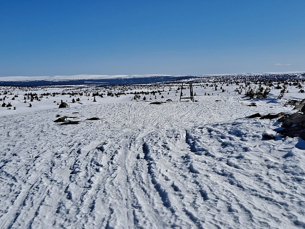 På Sjusjøfjellet øst