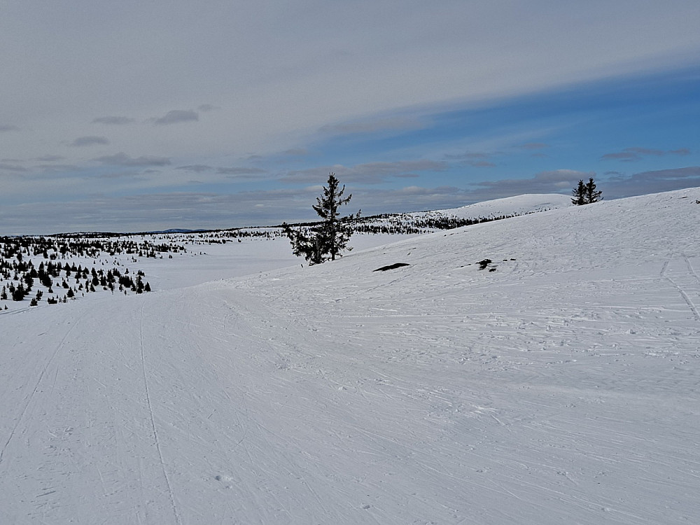 Ved Reinakrysset