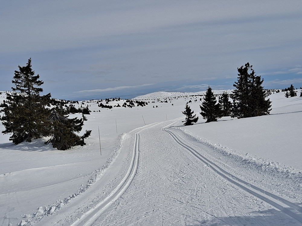 I Hitdalen, ser tilbake mot Kriksfjellet
