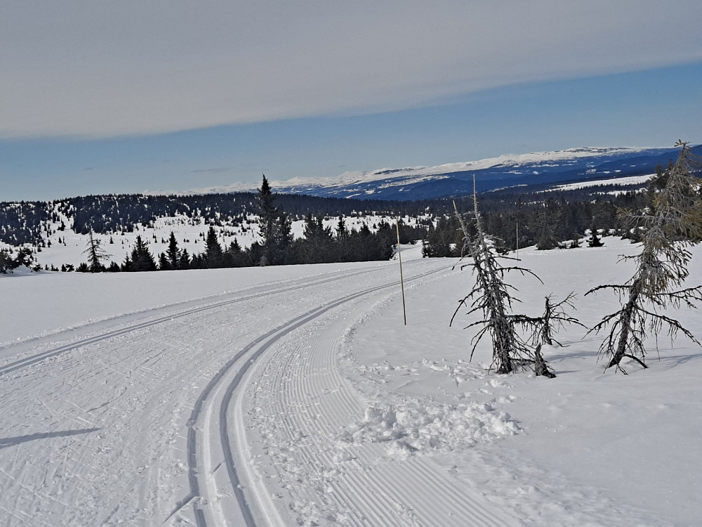 Ned Fra Hitdalen, ser mot Skei