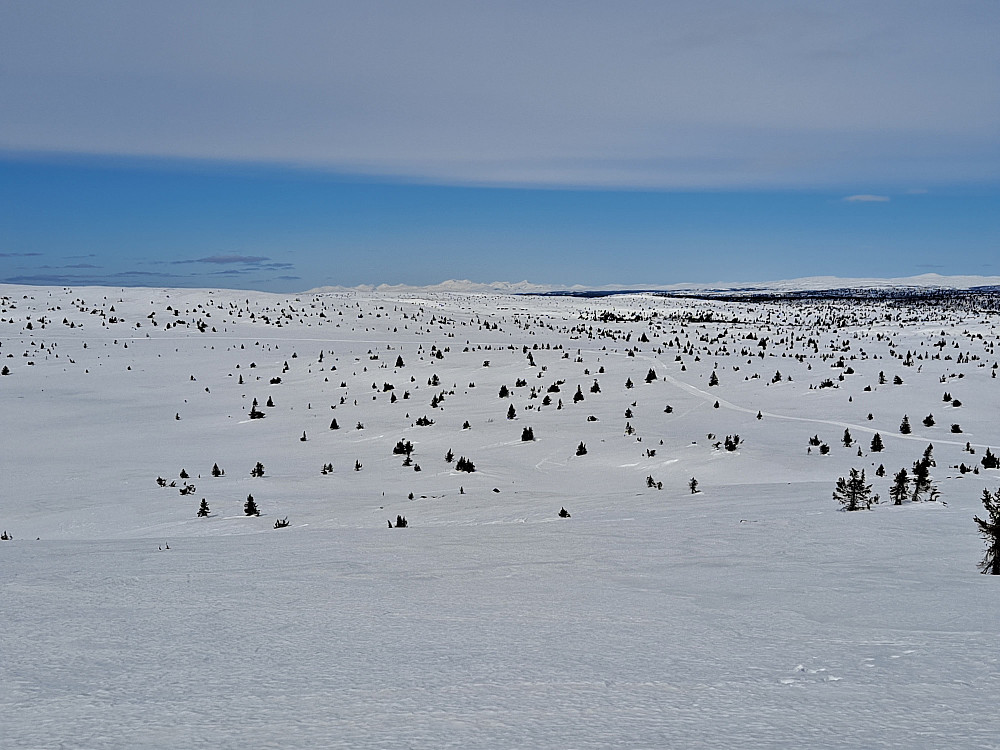 På Kriksfjellet, mot Rondane