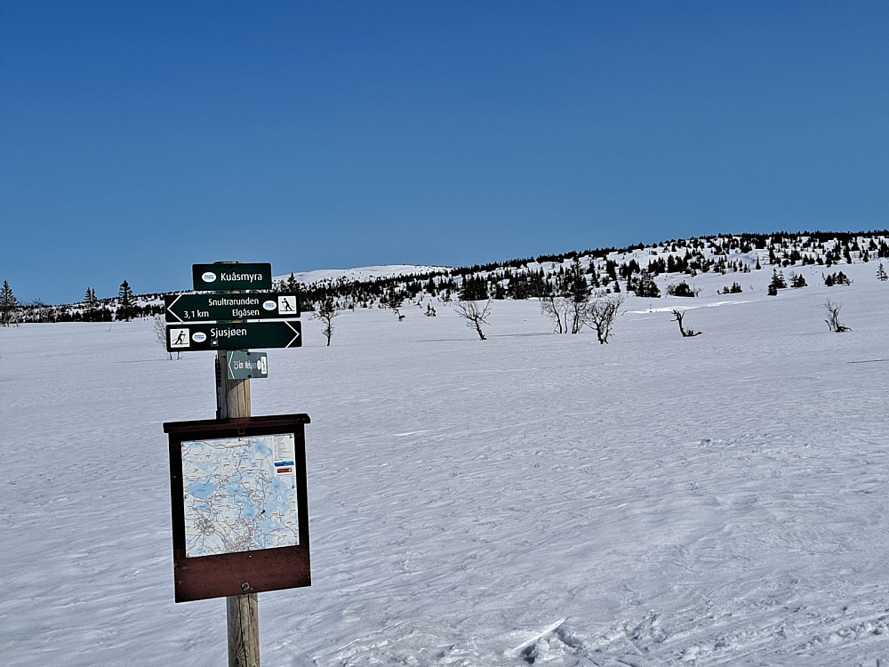 Ved løypekrysset Kuåsmyra, ser mot Steinvikfjellet
