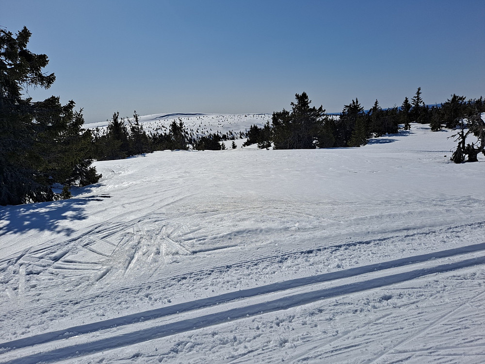 Snørvillen fra Midtfjellet