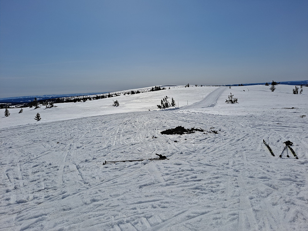 På Steinvikfjellet