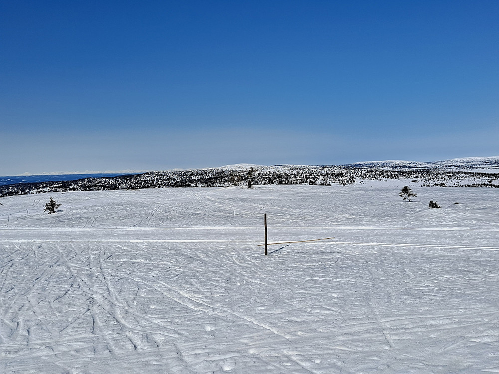 På Mostfjellet