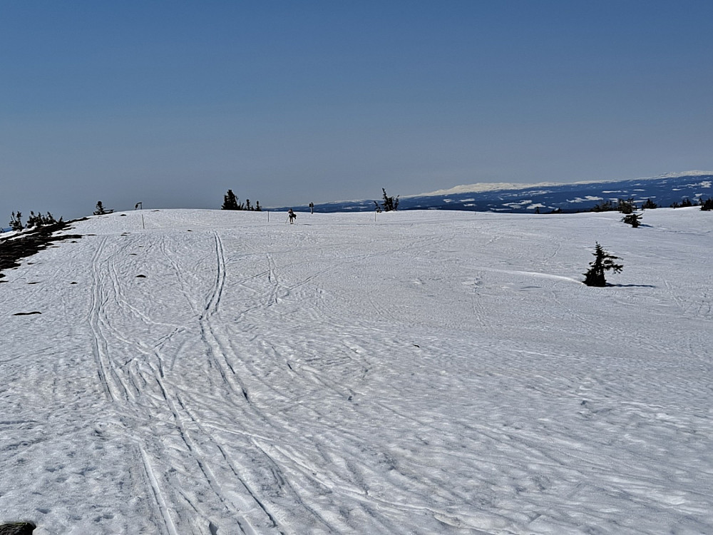 På Sjusjøfjellet øst