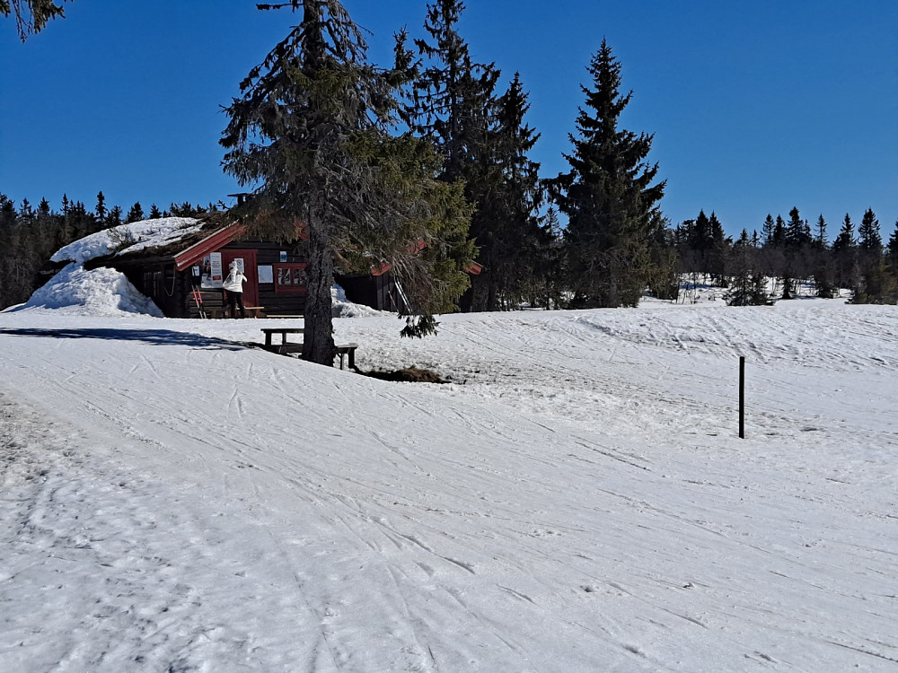 Ved Midtfjellkoia