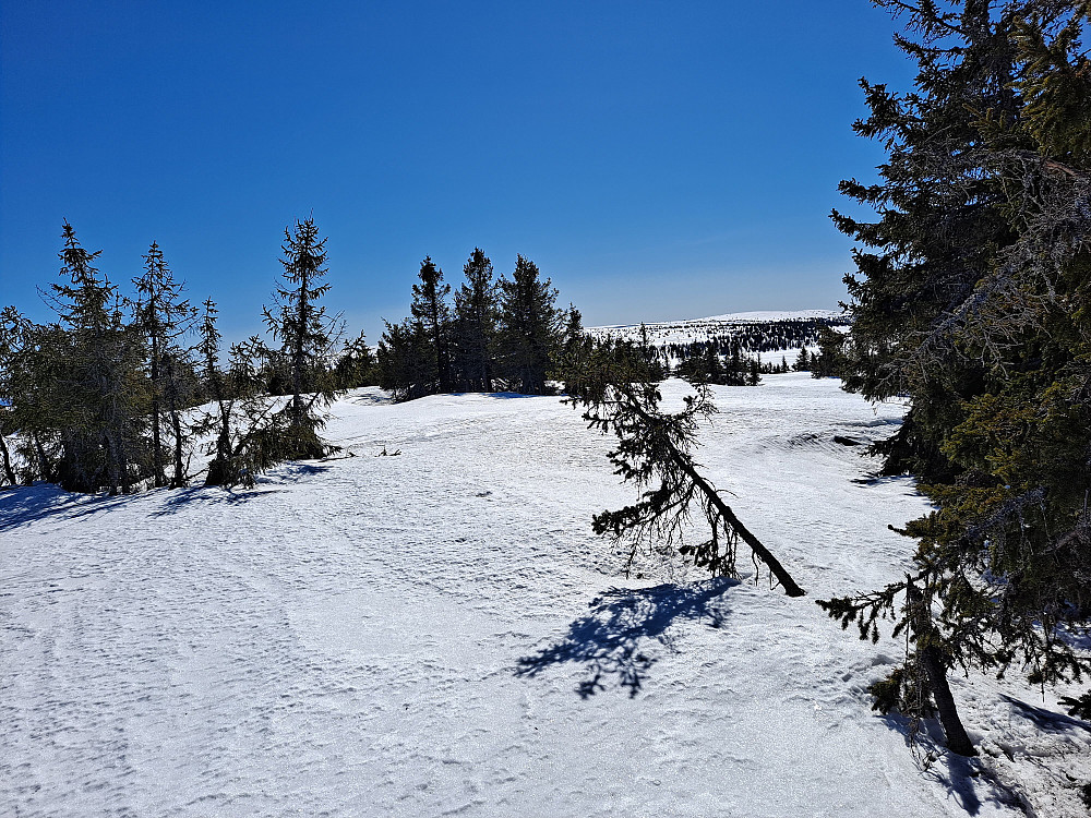 På Gjesboåsen, mot Mostfjellet