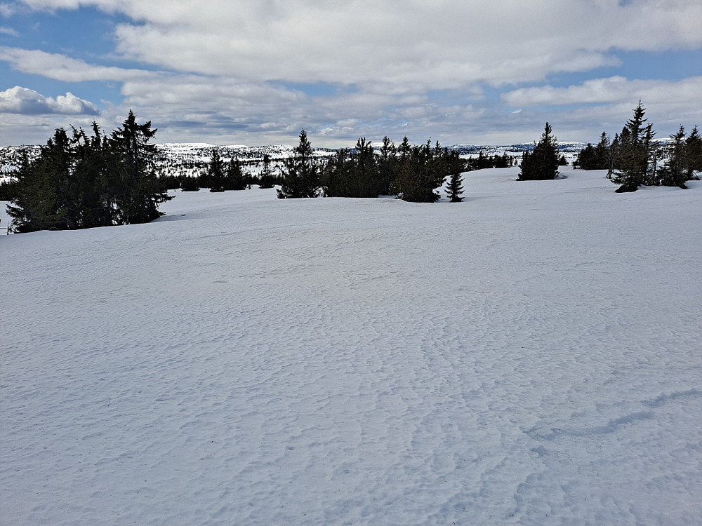På Gjesboåsen