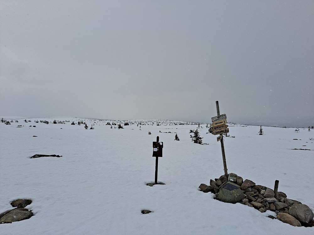 På Lunkefjell