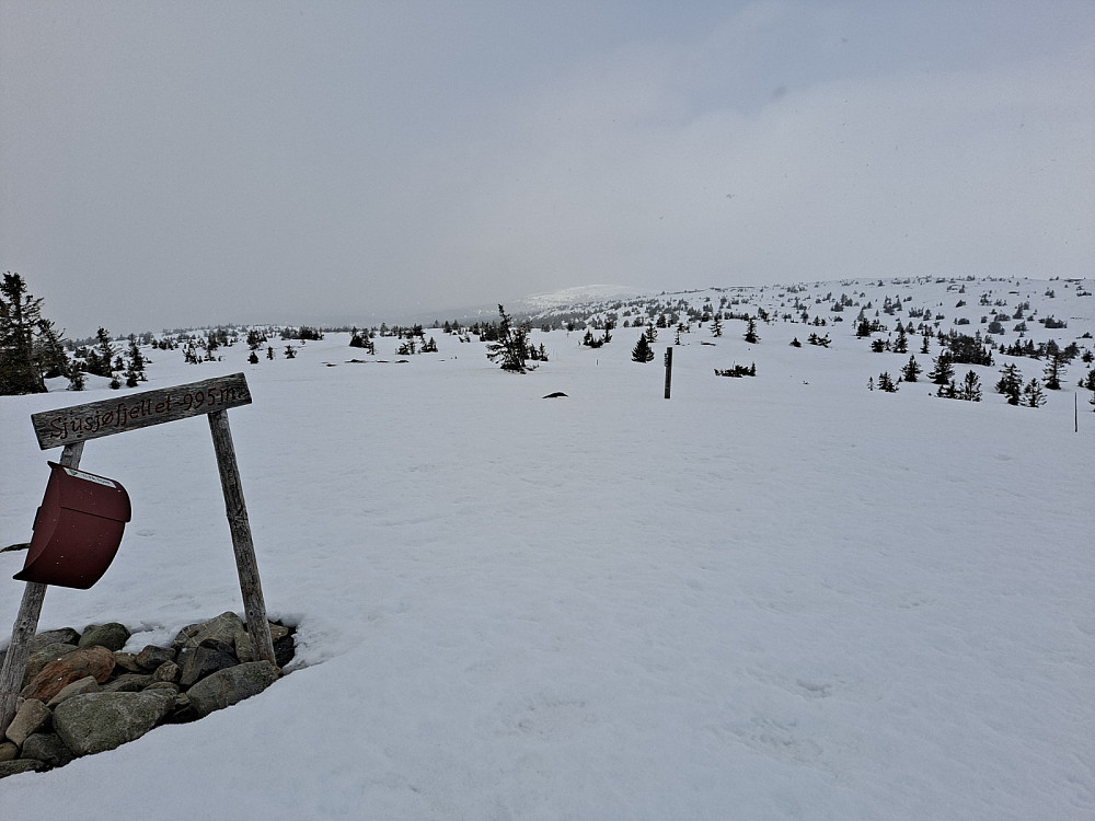 På Sjusjøfjellet