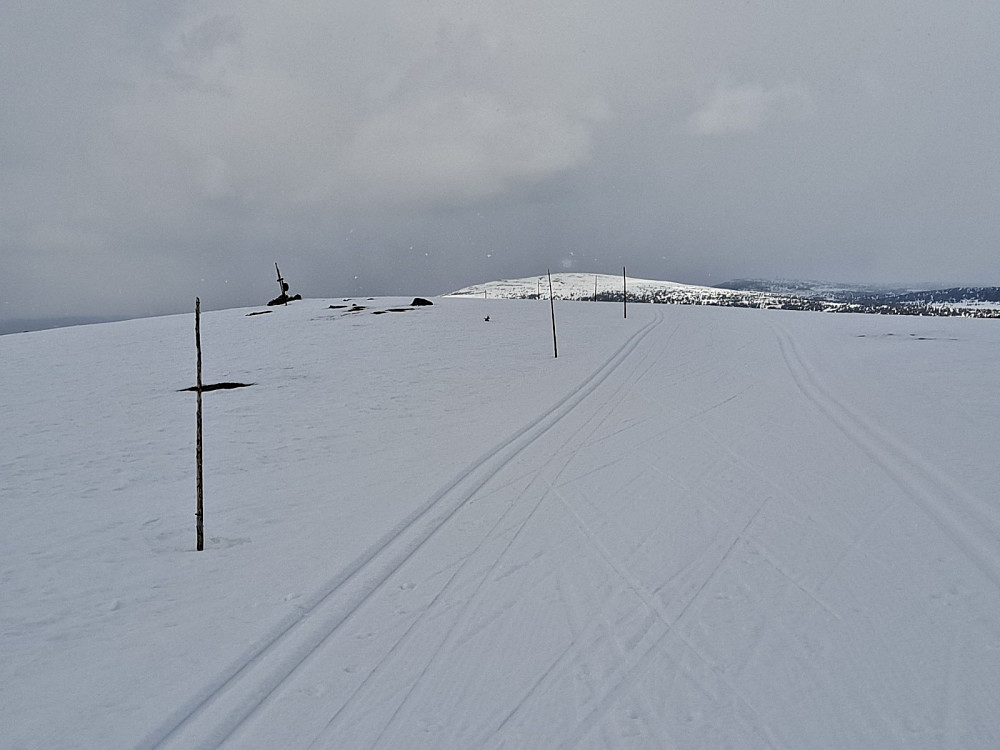 Tilbake på Lunkefjell