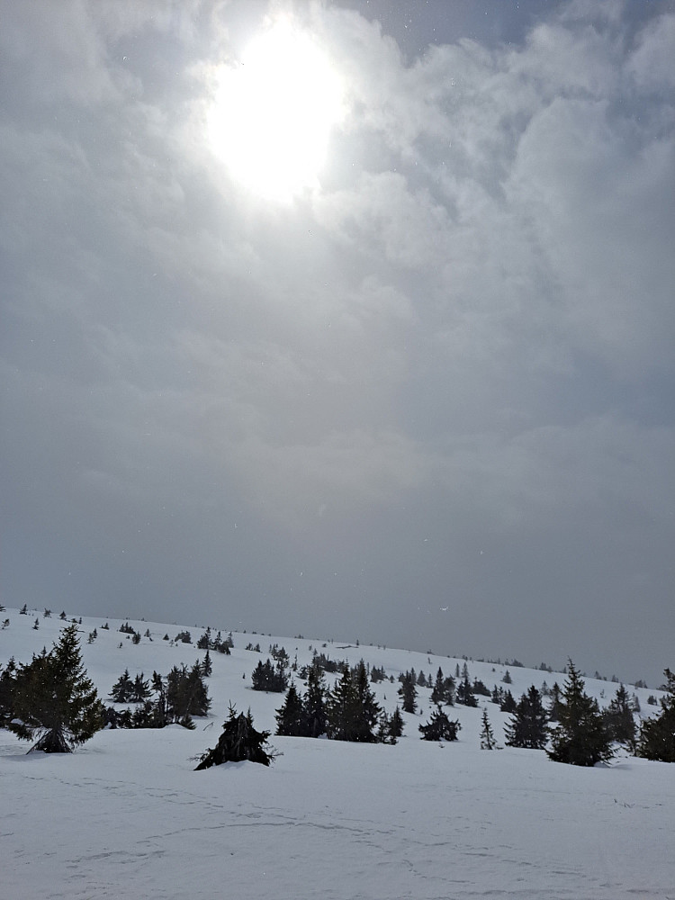 Litt nedenfor Lunkefjell
