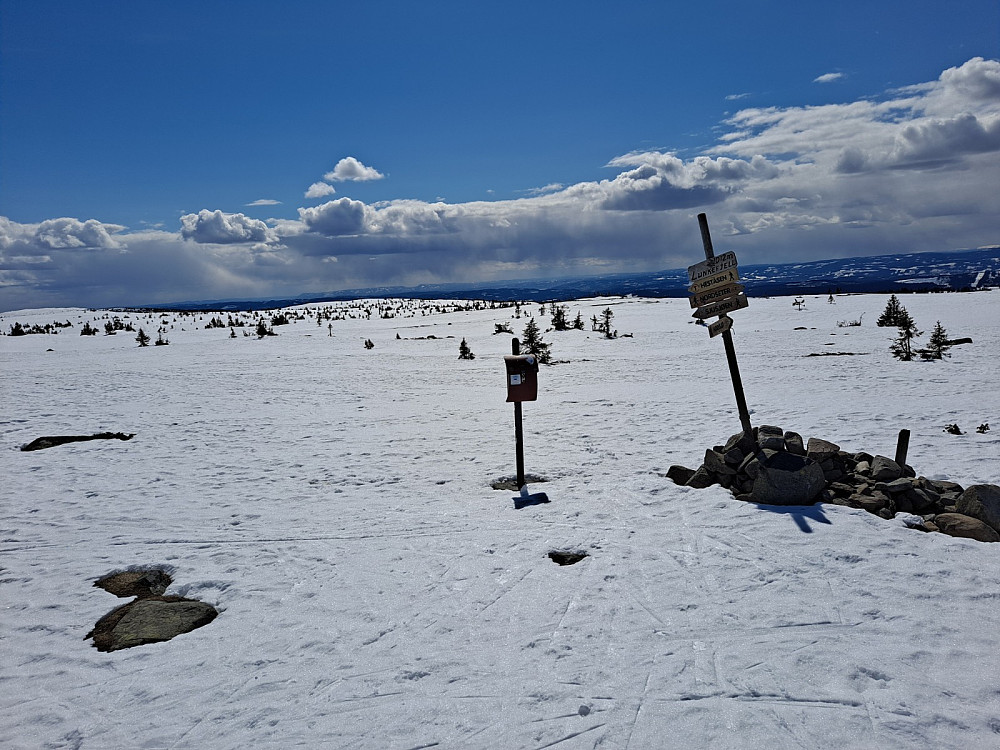 På Lunkefjell
