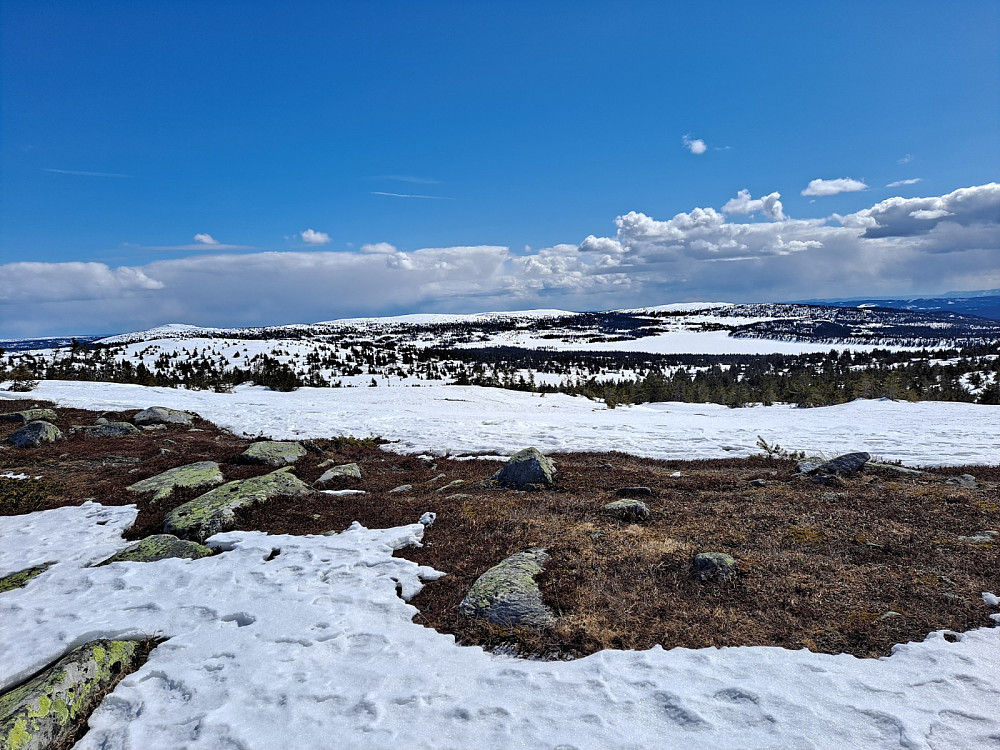 Ved Sjusjøfjellet øst