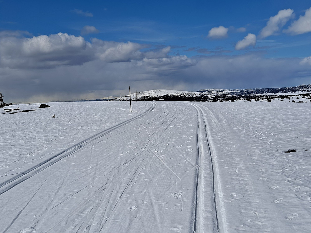 Tilbake på Lunkefjell