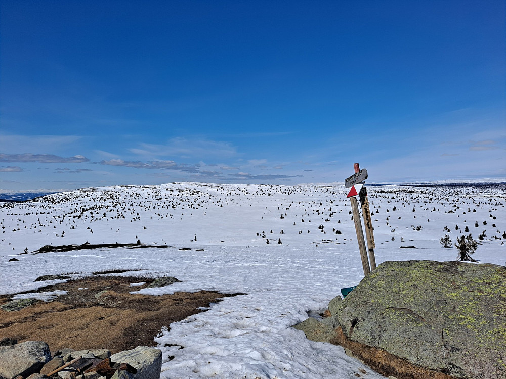 På Kriksfjellet