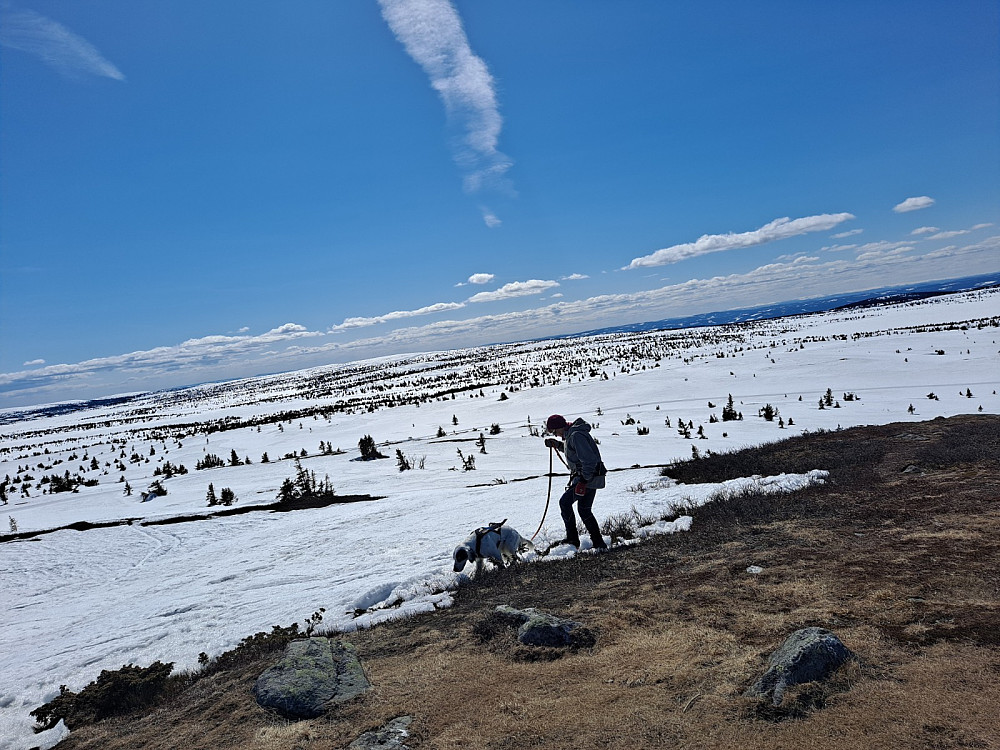 På Kriksfjellet