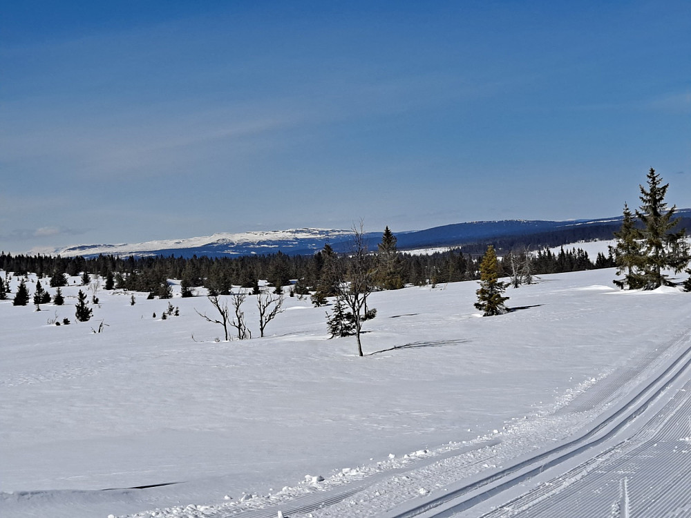 Mot Skei