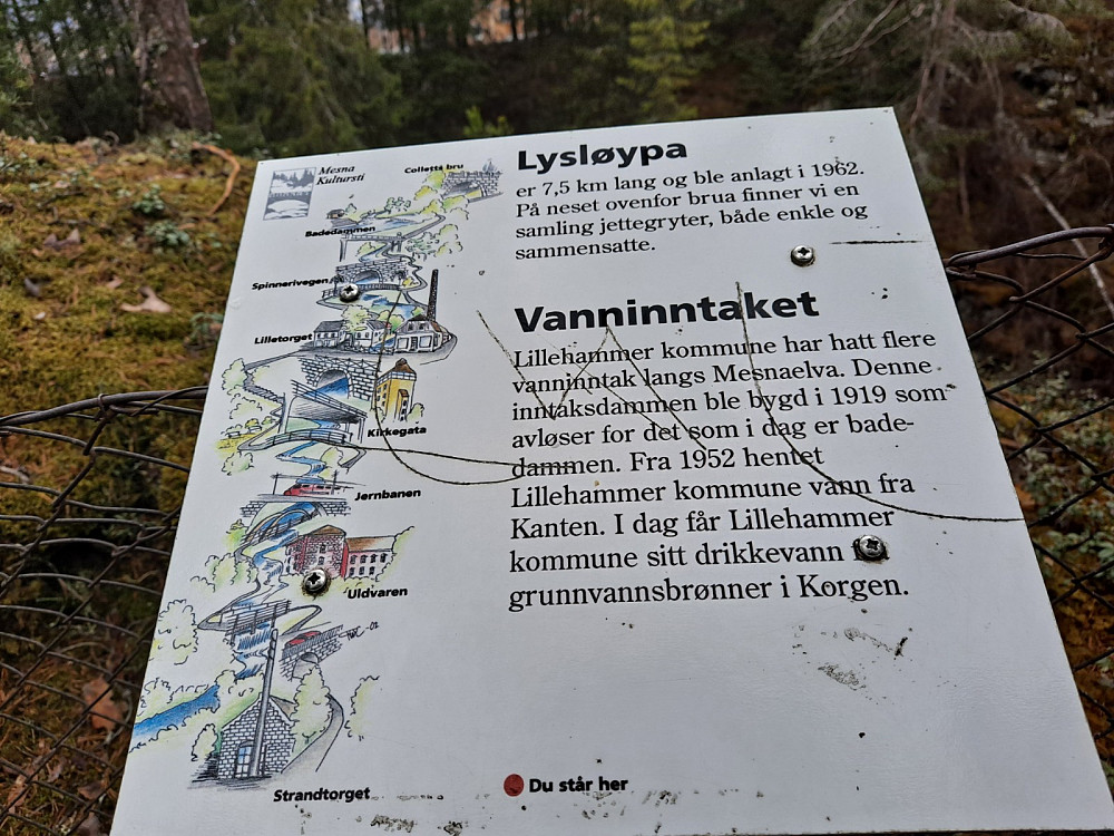 Langs Mesnaelva