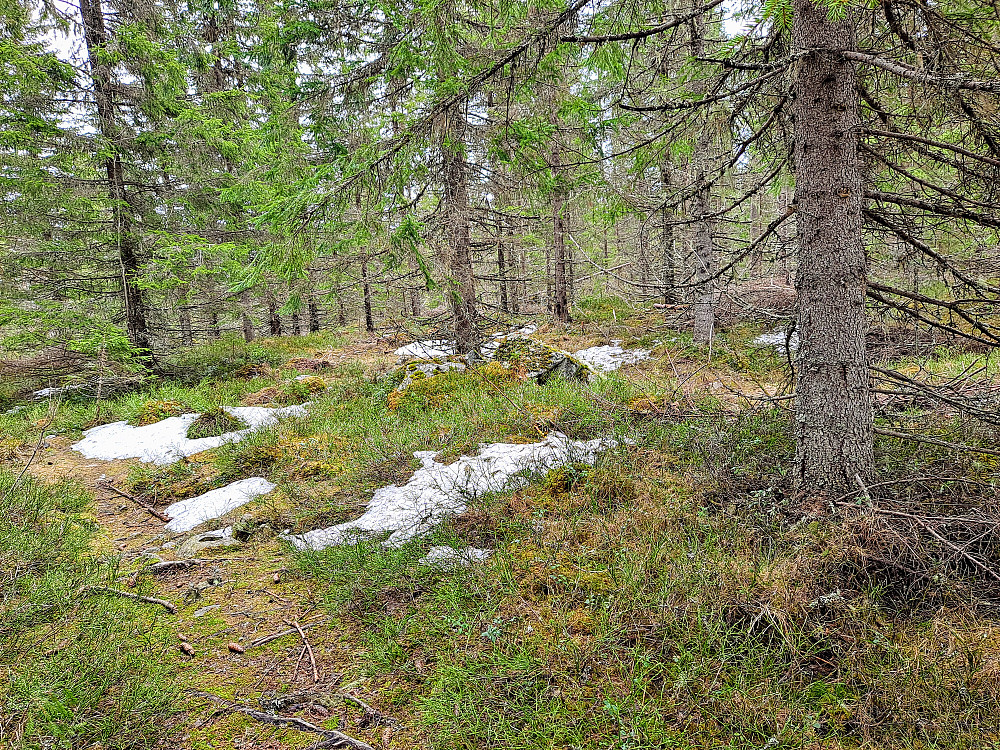På toppen