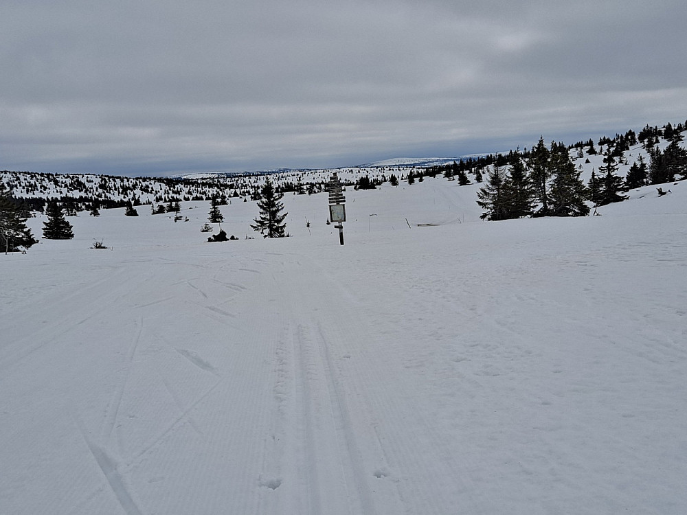 Ved løypekrysset Hitdalen