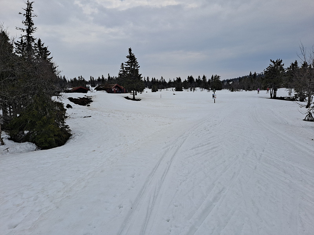 Ved Midtfjellkoia