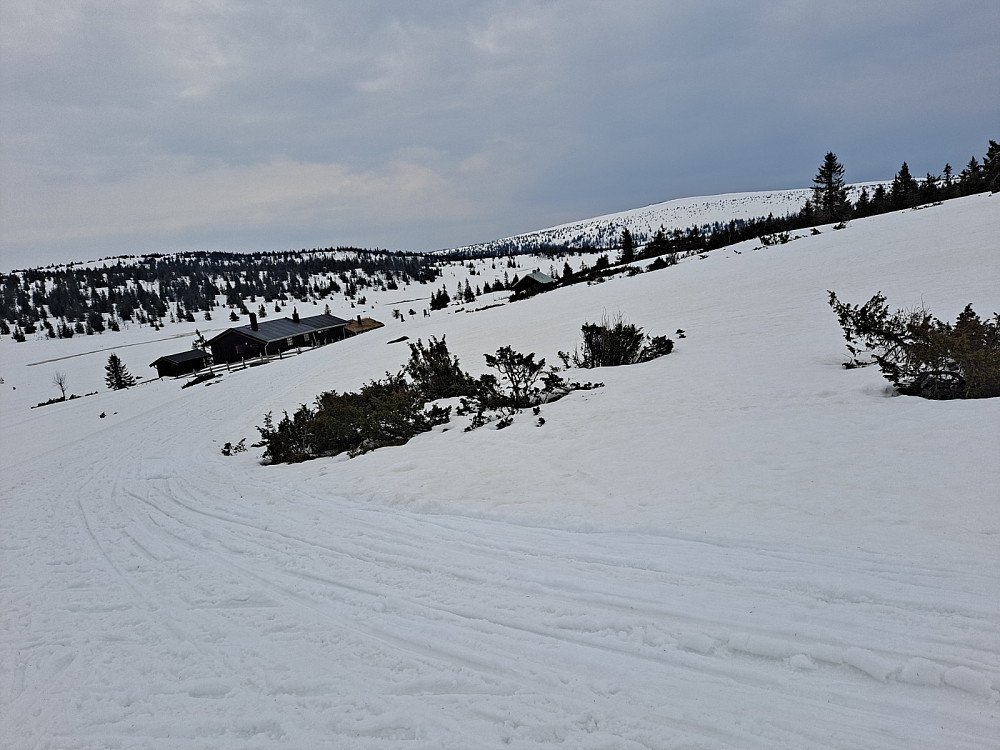 Ved setrene på Gjesboåsen