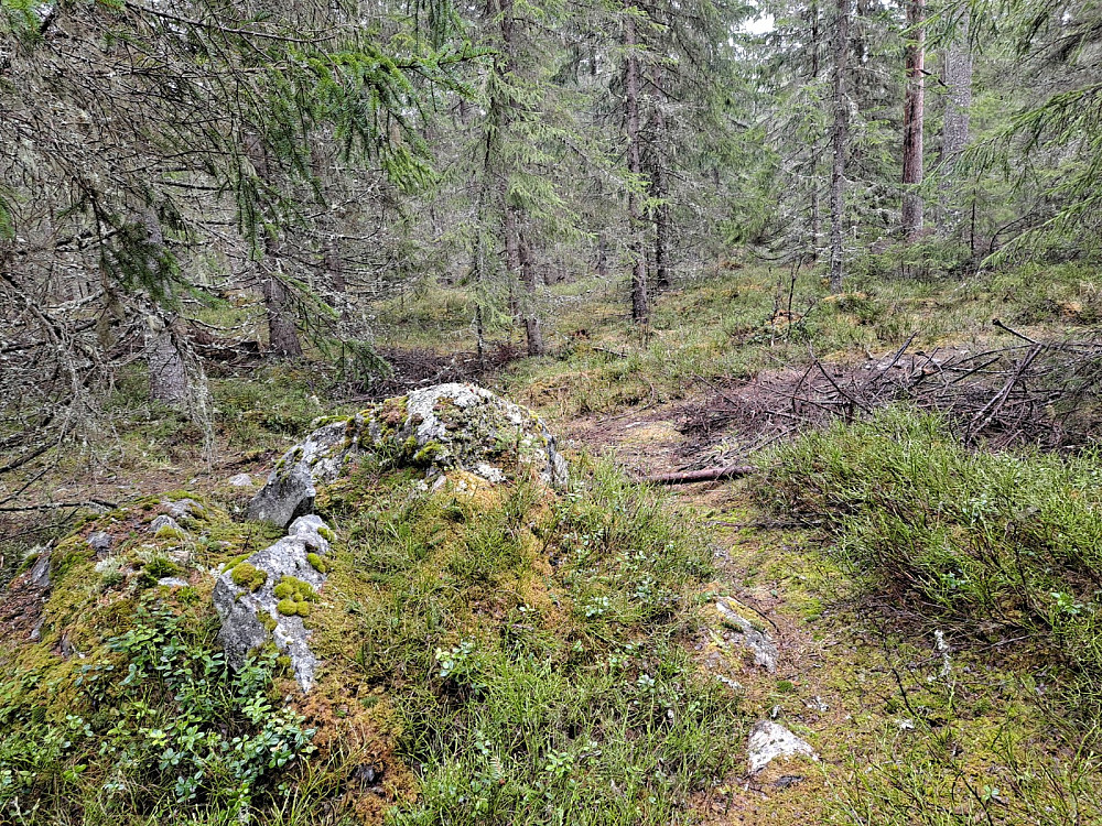 På Kanthaugen