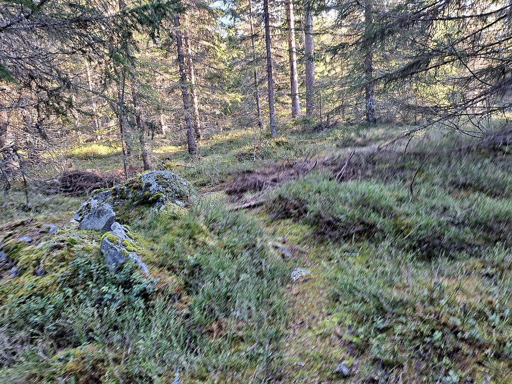 På Kanthaugen