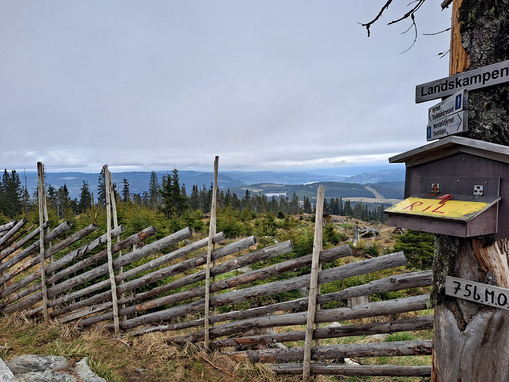På Landskampen