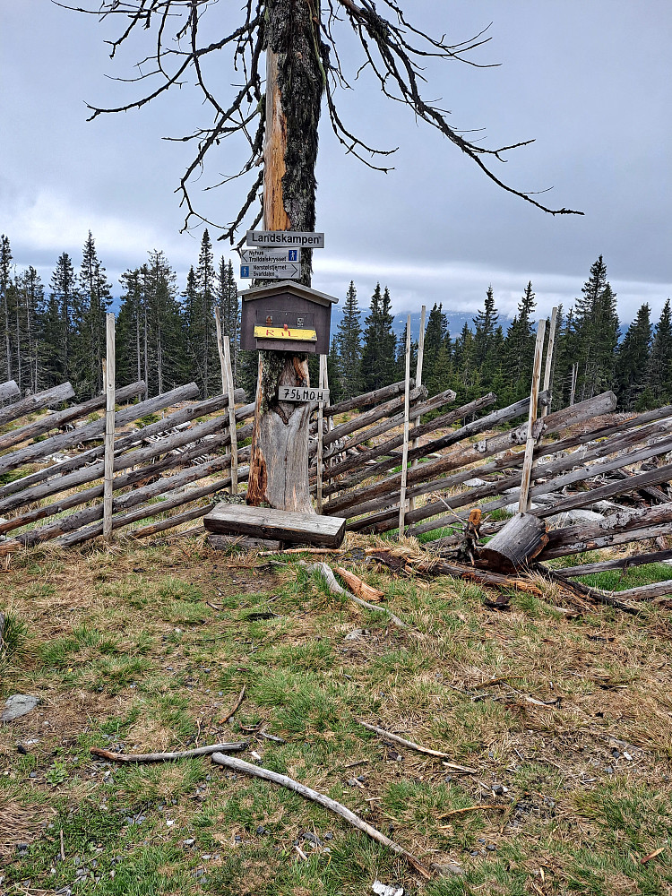 På Landskampen