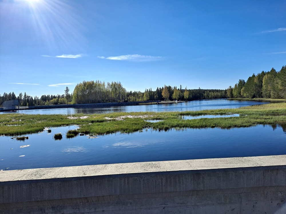 Krokflø