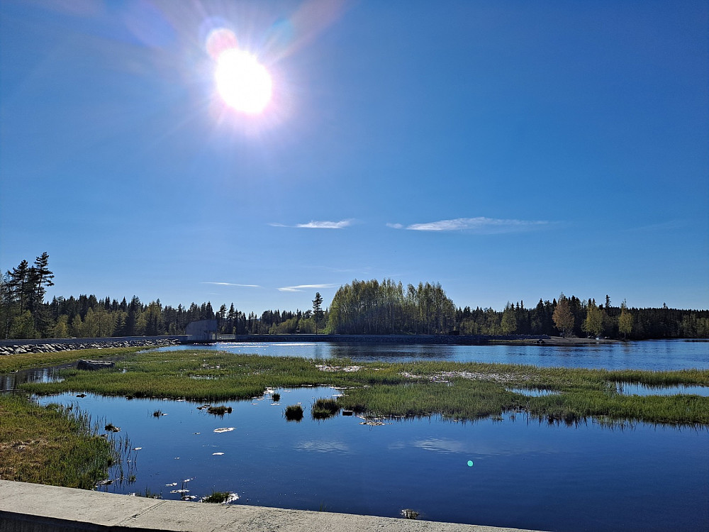 Krokflø