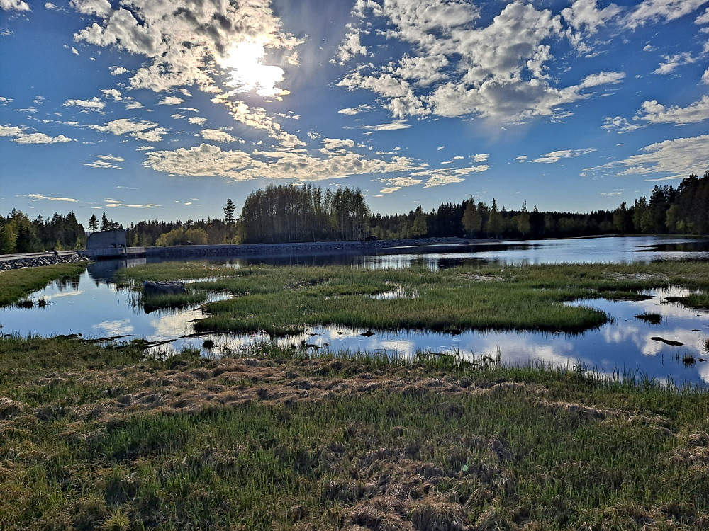 Krokflø