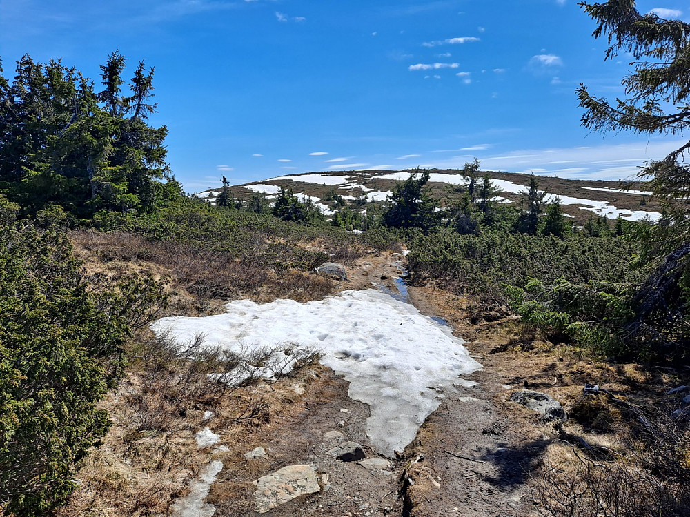 Fortsatt snø i bakkene opp mot Lunkefjell