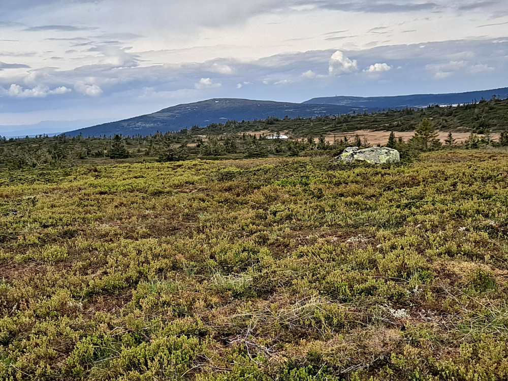 På Lunkefjell vest