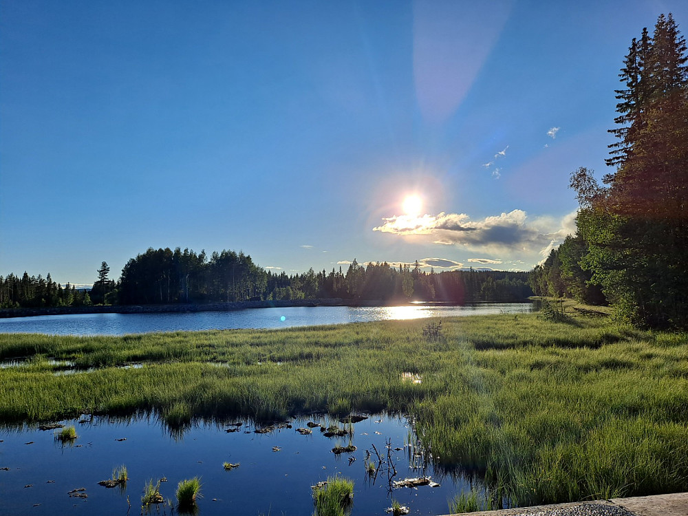 Ved Krokflø