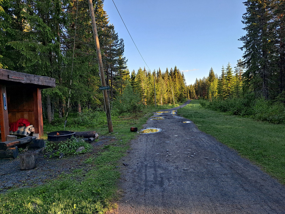 Ved Hammerkoia