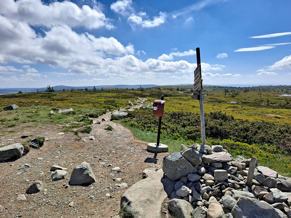 På Lunkefjell