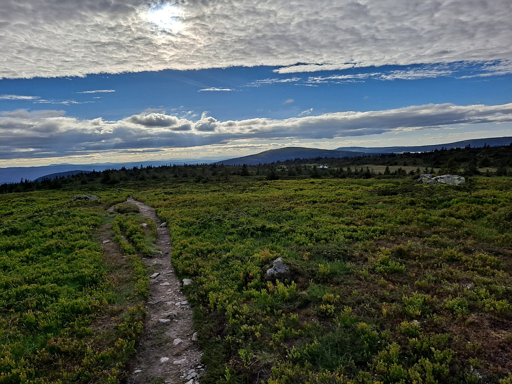 På Lunkefjell vest