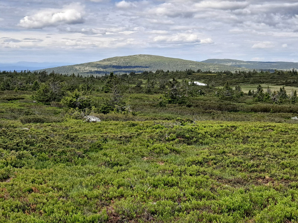 På Lunkefjell vest