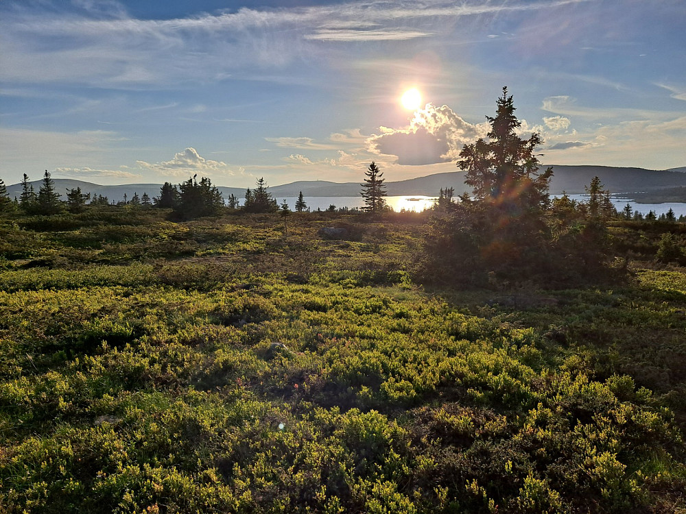På vei tilbake