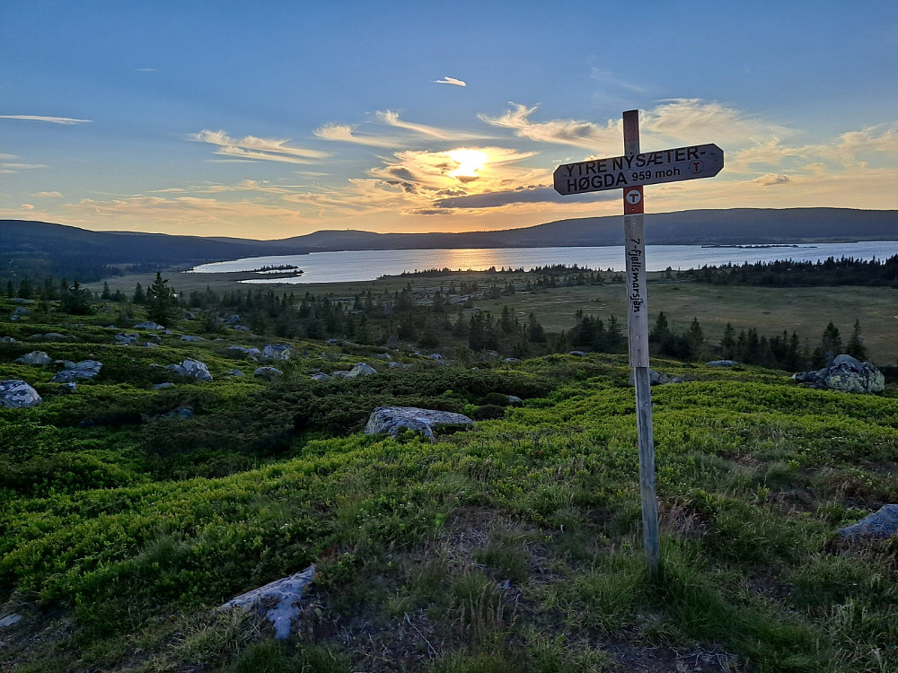 På Ytre Nysæterhøgda