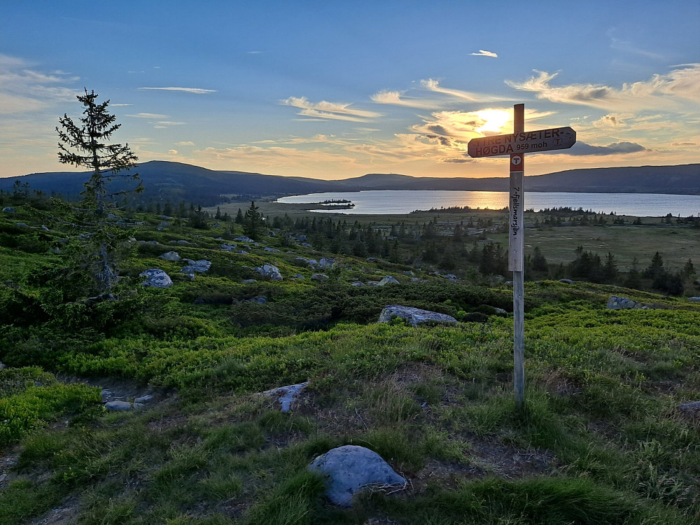 På Ytre Nysæterhøgda