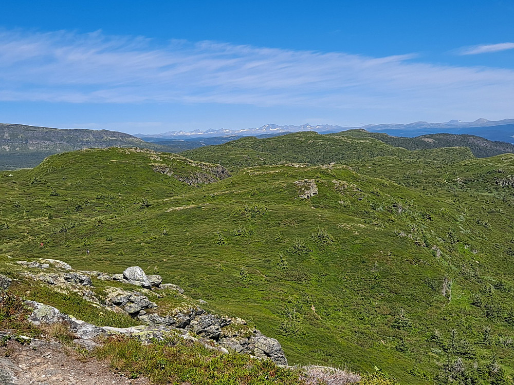 På Roåkerknappen, klar sikt mot Rondane