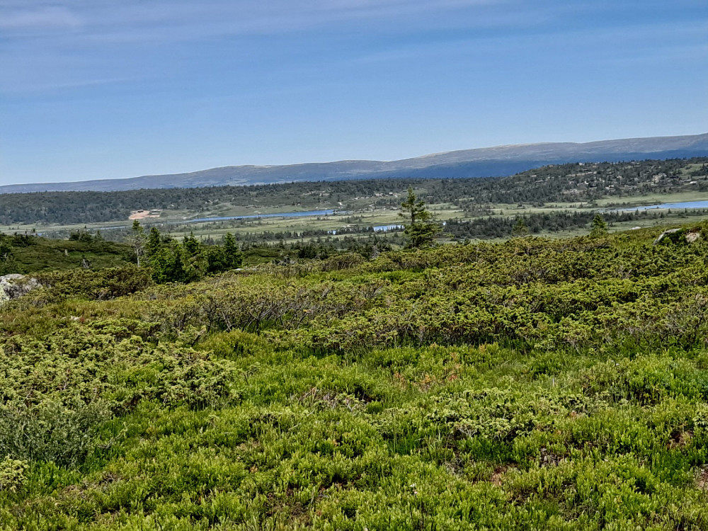 På Lunkefjell vest