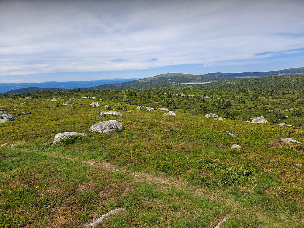 På Høgfjellet