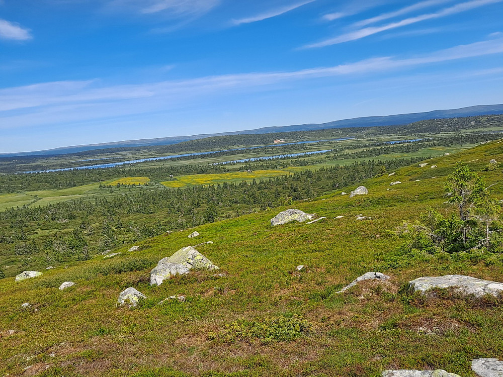 På Høgfjellet