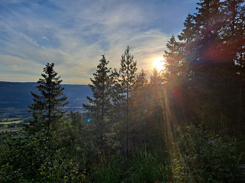På Hansvehaugen